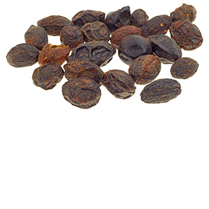 Sabal (Saw Palmetto) Herbasol® Extract PG (PF)